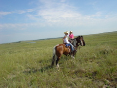 DSC01934.JPG