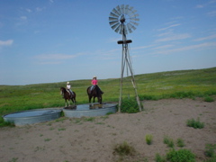 DSC01937.JPG