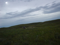 DSC01949.JPG