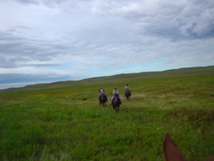 DSC01954.JPG