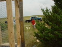 DSC01784.JPG