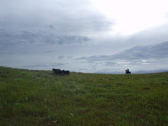 DSC01957.JPG