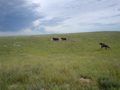 DSC01958.JPG