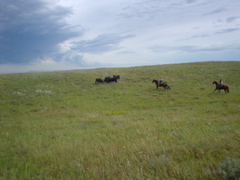 DSC01959.JPG
