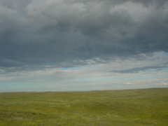DSC01964.JPG