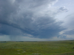 DSC01965.JPG