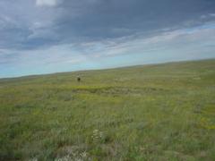 DSC01969.JPG