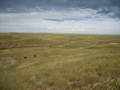 DSCF0489.JPG