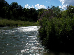 SANY0015.JPG