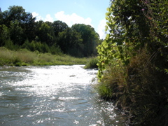 SANY0018.JPG