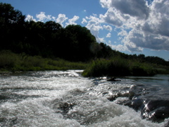 SANY0022.JPG
