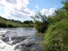 SANY0023.JPG