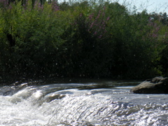 SANY0031.JPG