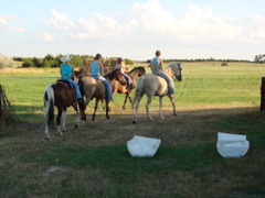 DSC00614.JPG