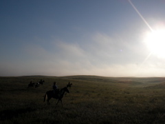 SANY0004.JPG