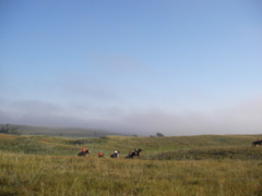 SANY0007.JPG