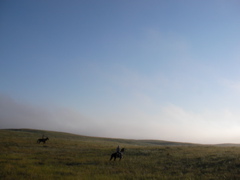 SANY0008.JPG