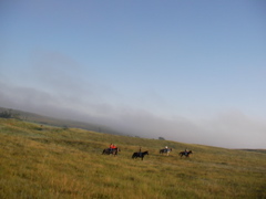 SANY0009.JPG