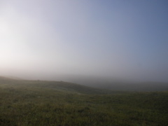 SANY0010.JPG