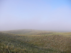 SANY0014.JPG