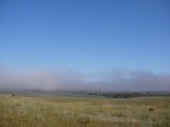 SANY0024.JPG