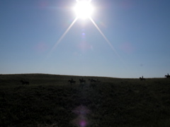 SANY0033.JPG