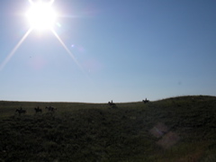 SANY0034.JPG