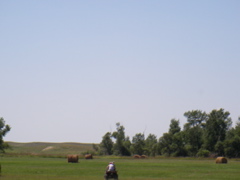 SANY0019.JPG