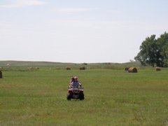 SANY0020.JPG
