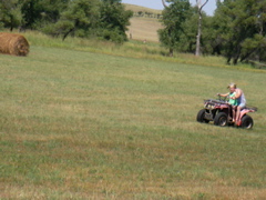 SANY0025.JPG