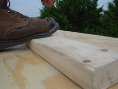 DSC01799.JPG