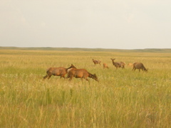 DSCF0498.JPG