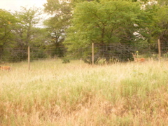 DSCF0501.JPG