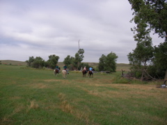 SANY0064.JPG