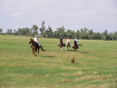 SANY0066.JPG