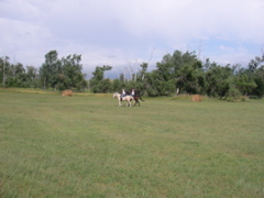 SANY0079.JPG