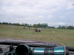 SANY0092.JPG