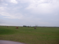 SANY0111.JPG
