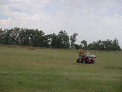 SANY0119.JPG