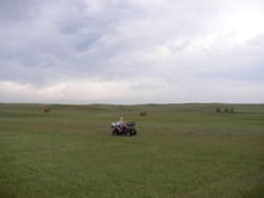 SANY0123.JPG