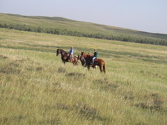 SANY0019.JPG