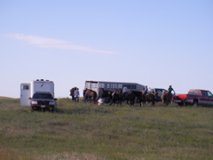 SANY0023.JPG