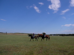 SANY0035.JPG