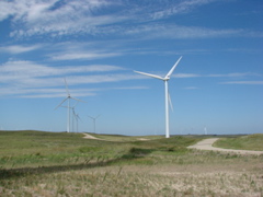 DSC00653.JPG