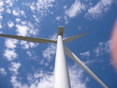 SANY0041.JPG