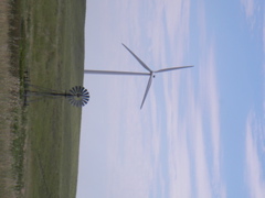 SANY0051.JPG