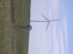 SANY0052.JPG