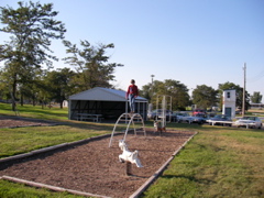 SANY0073.JPG