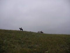 SANY0001.JPG