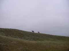 SANY0002.JPG